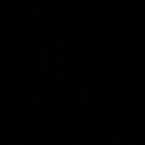 Meet your Posher, Angelina